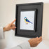 Vivid Pop of Colour Little Birdie Wall Decor