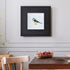 Vivid Pop of Colour Little Birdie Wall Decor